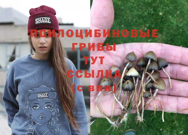 MESCALINE Алагир