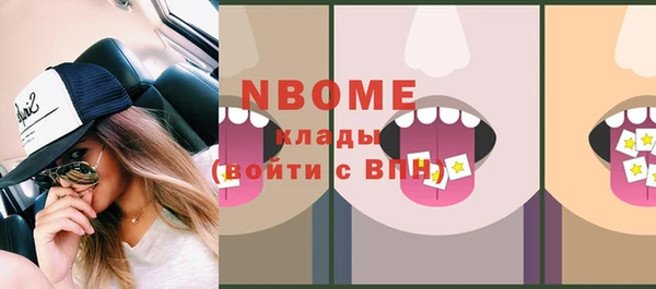 прущие грибы Вязьма