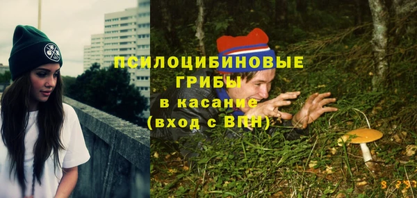 гашик Волоколамск